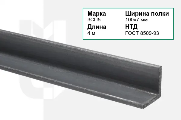 Уголок металлический 3СП5 100х7 мм ГОСТ 8509-93